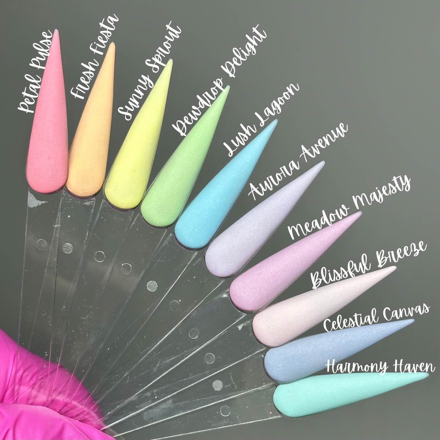 SUNNY SPROUT- COLOR ACRYLIC