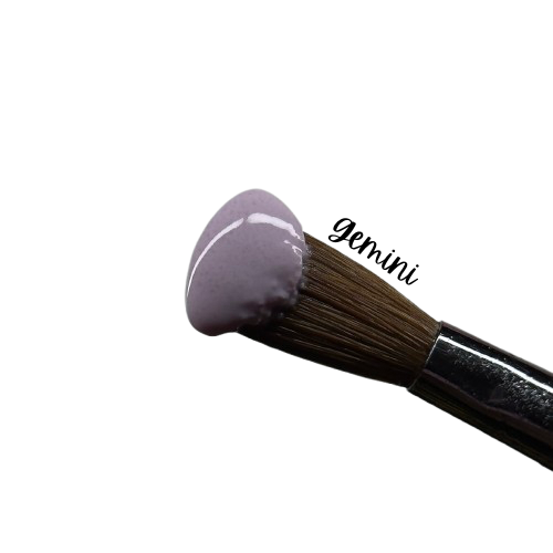 GEMINI- COVER ACRYLIC