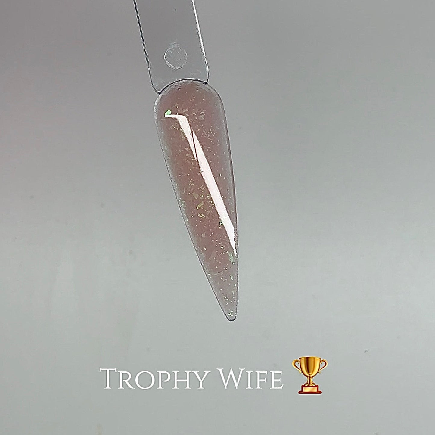TROPHY WIFE- COVER ACRYLIC