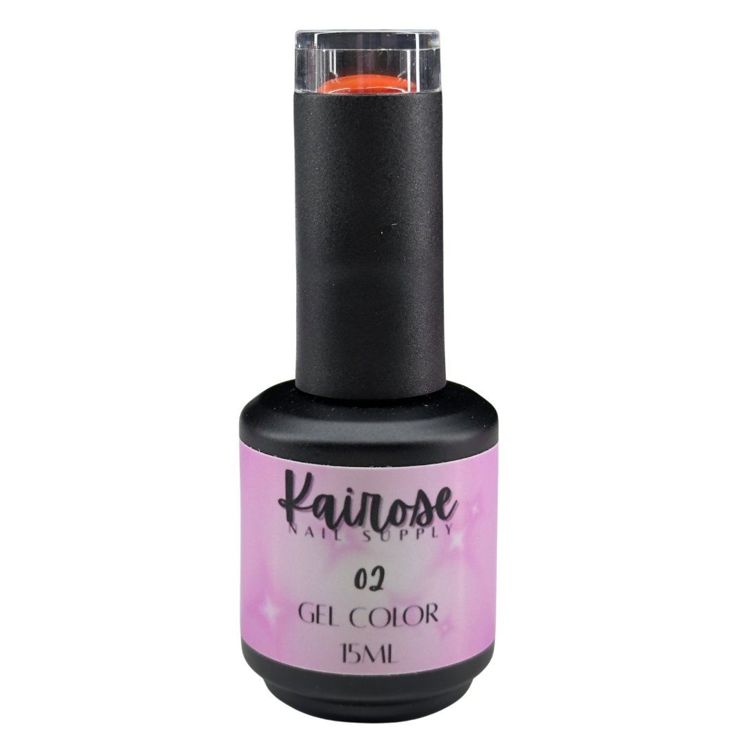 02- GEL POLISH COLOR
